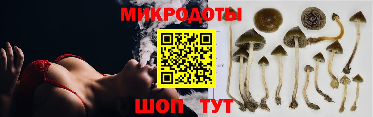 Галлюциногенные грибы Magic Shrooms  Вход с VPN  Малоярославец 